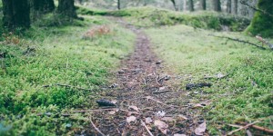 heckmann – Coaching Privat