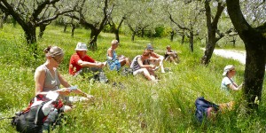 Cases – Netværksaktiviteter